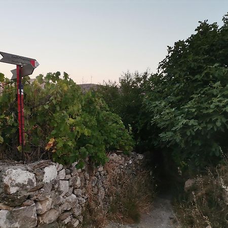 Naxos Mountain Retreat - Tiny House Build On Rock Leilighet Koronos Eksteriør bilde